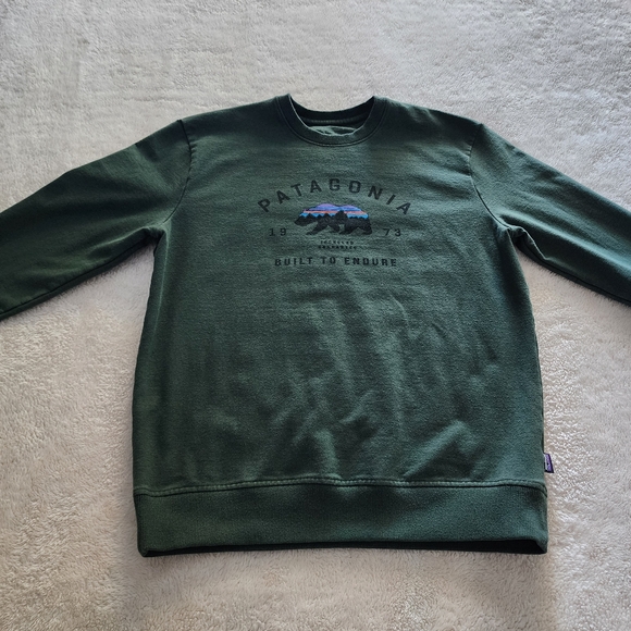 Patagonia Other - Patagonia Arched Fitz Roy Bear Uprisal Sweatshirt, Men's Medium - Nomad Green